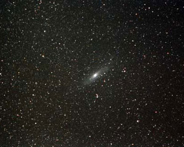 Галактики входят в состав кластера Abell 315. Фото NASA