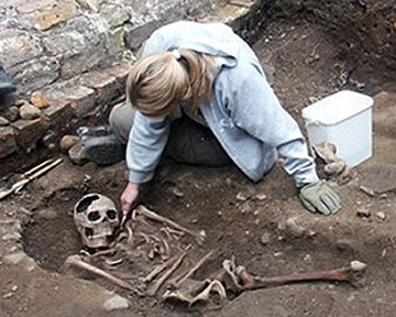 Всего найдено около 80 полных мужских скелетов. Фото dailymail.co.uk