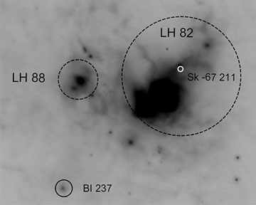 Звёздные ассоциации LH 82 и LH 88 и звёзды BI 237 и Sk-677-211. Фото Astronomy & Astrophysics