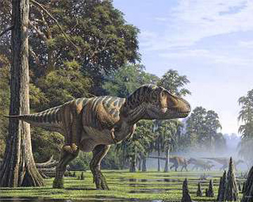 Найденный динозавр отличался от других родственников T. rex. Фото umd.edu